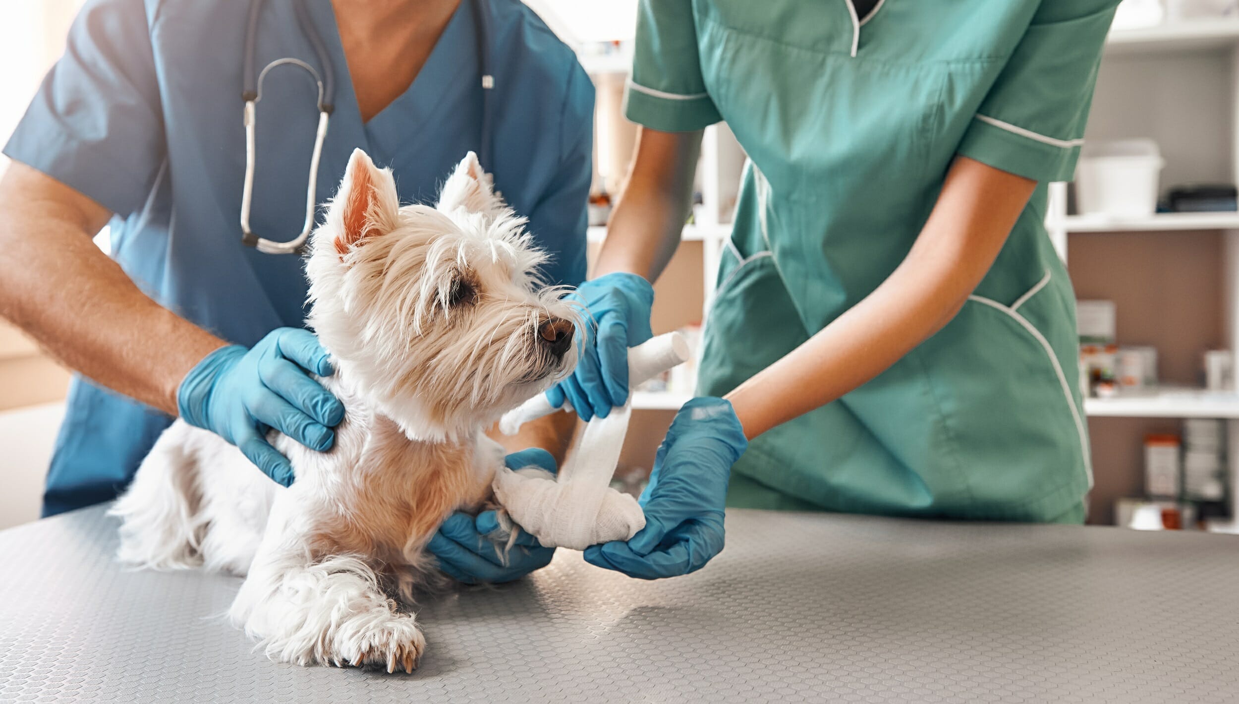Kawartha Veterinary Emergency Clinic: Veterinarian in Peterborough, ON